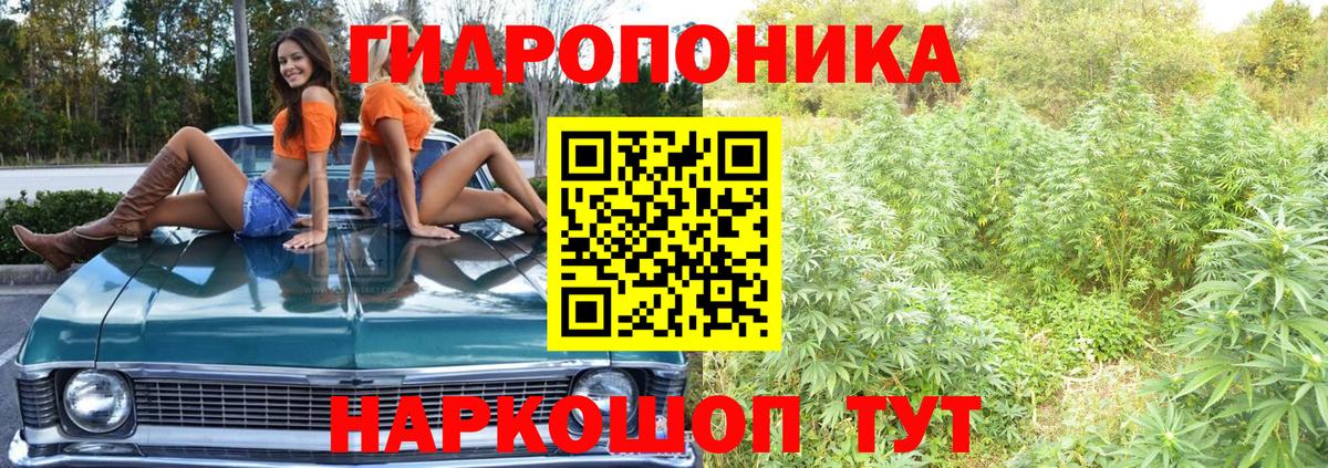 Чистополь  Бошки Шишки гибрид  Шишки марихуана индика  Вход с VPN  Марихуана AK-47 